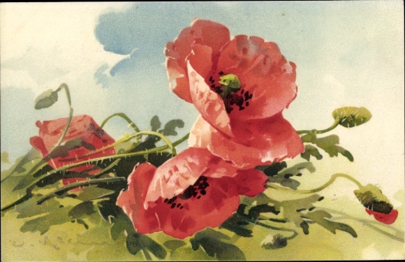 Artist Chromo-Litho Klein, Catharina, Mohnblume, Meissner & Buch 2225