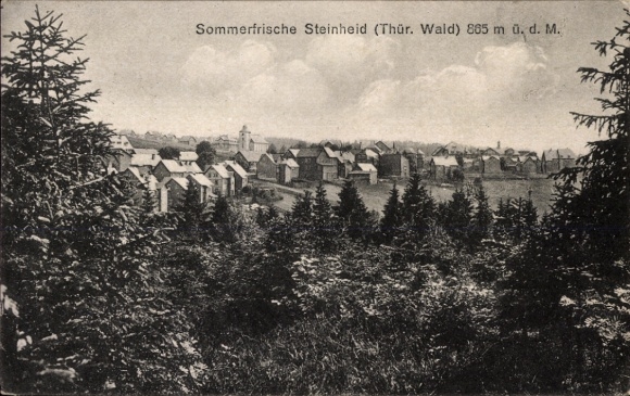 Ak Steinheid Neuhaus am Rennweg Thüringen, Ansicht von  Thüringer Wald, Häuser, Bäume, Berge, Lan
