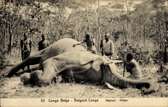 Ganzsachen Ak DR Kongo Zaire, Elefantenjagd