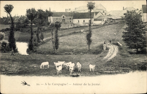 Ak Frankreich Campagne, Rinder auf der Wiese, Bauernhof