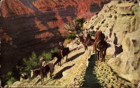 Ak Grand Canyon Arizona USA, Grand Canyon, Hermit Trail, Reiter, Esel, Felsen, Bäume