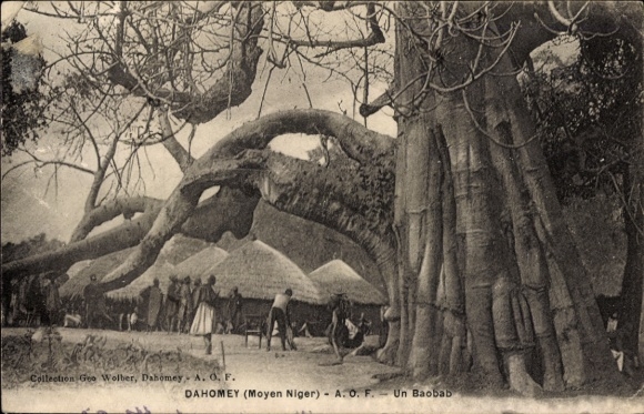 Ak Dahomey Benin, Baobab Baum, Dorfansicht, Menschen, traditionelle Hütten