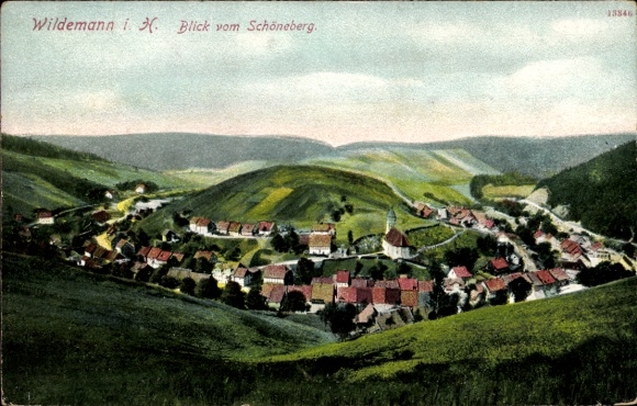 Ak Wildemann Clausthal Zellerfeld im Oberharz, Blick vom Schöneberg