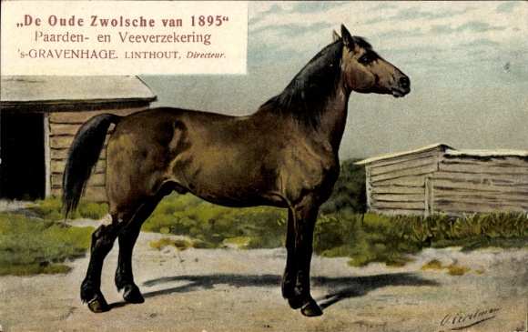 Artist Postcard Eerelman, O., Het Canadeesche Paard, De Oude Zwolsche van 1895