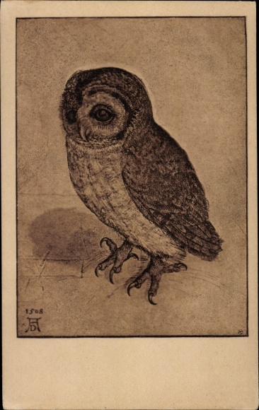 Artist PC owl, bird, animal portrait, claws