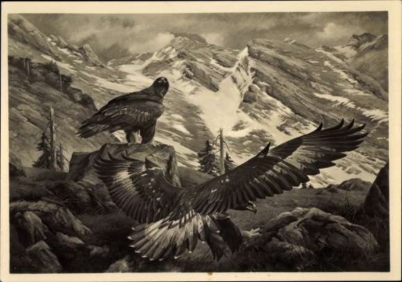 Artist PC Kiefer, Michael, golden eagle, mountains, HDK 524