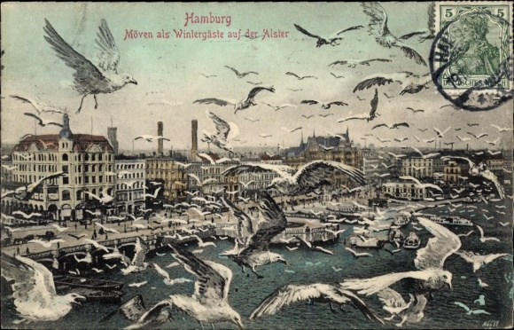 Postcard Hamburg, seagulls as winter guests, Alster