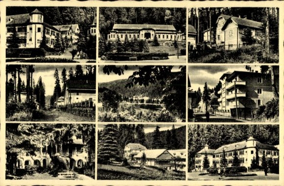 Ak Băile Tușnad Bath Tusnad Roemenië, Diverse gebouwen, boslandschap, zwart-witfotografie
