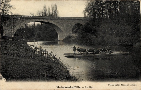 Postcard Maisons Laffitte Yvelines, Le Bac, ferry, cattle