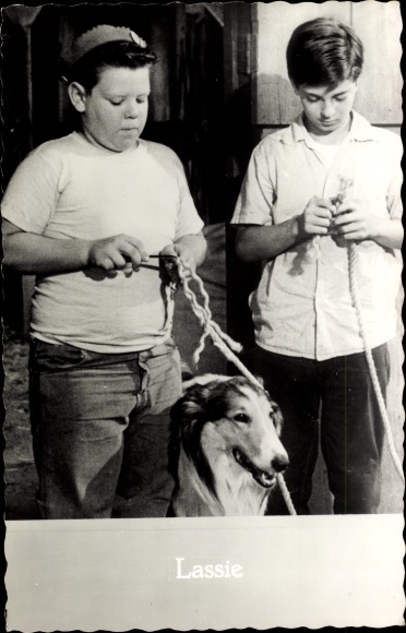Postcard Actor, Lassie