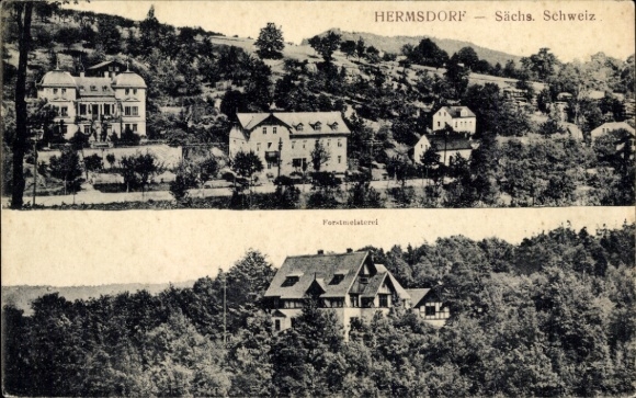 Postcard Hinterhermsdorf Sebnitz Saxon Switzerland, general view, forestry department