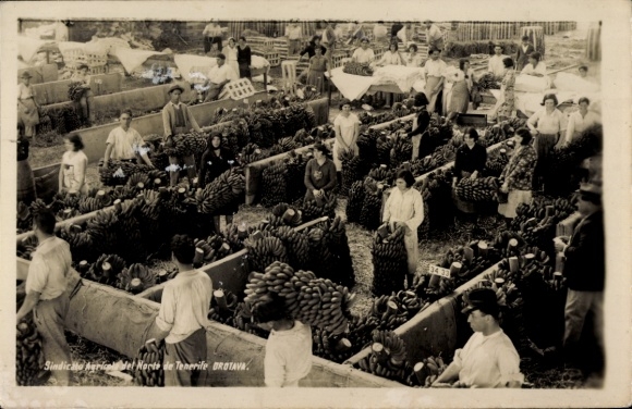 Postcard Tenerife Tenerife Canary Islands Spain, market with bananas, workers, historical sw...