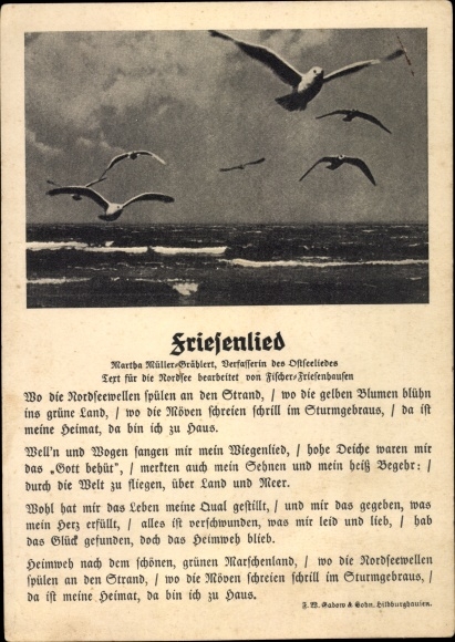 Song Postcard Friesenlied, seagulls over the North Sea