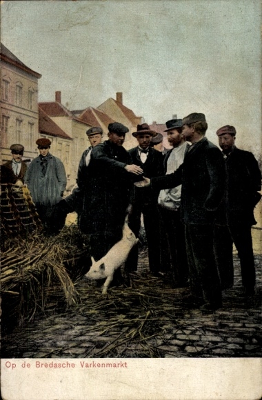 Postcard Breda North Brabant Netherlands, pig market