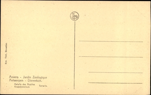 Postcard Anvers Antwerpen Flandern, Zoological Garden, Reptile Gallery