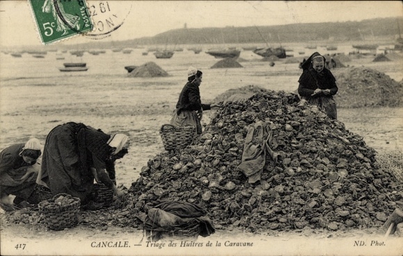 CPA Cancale Ille et Vilaine, Triage des Huîtres de la Caravane