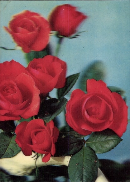 3D Postcard Red roses, flowers