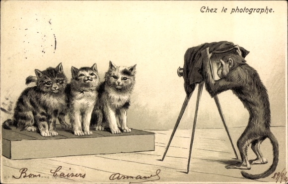 Embossed Chromo-Litho Chimpanzee photographs cats, humanized animals, camera