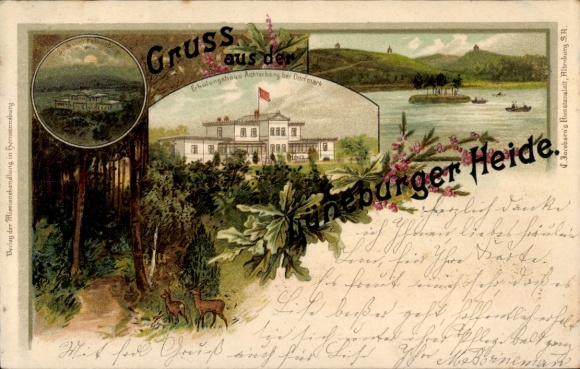 Litho Dorfmark Bad Fallingbostel Lüneburger Heide, Erholungshaus Achterberg, Wald