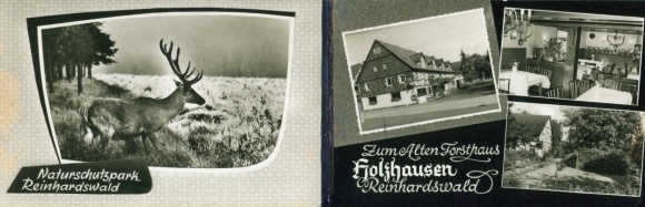 Folding PC Holzhausen am Reinhardswald Immenhausen in Hesse, to the old forester&#39;s house, deer
