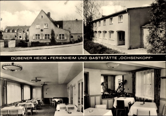 Ak Rotta Kemberg Dübener Heide, Ferienheim und Gaststätte Ochsenkopf, Inneres