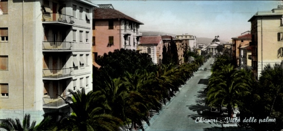 Ak Chiavari Liguria, Boulevard des Palmiers, Palmenallee, Bäume, Straße