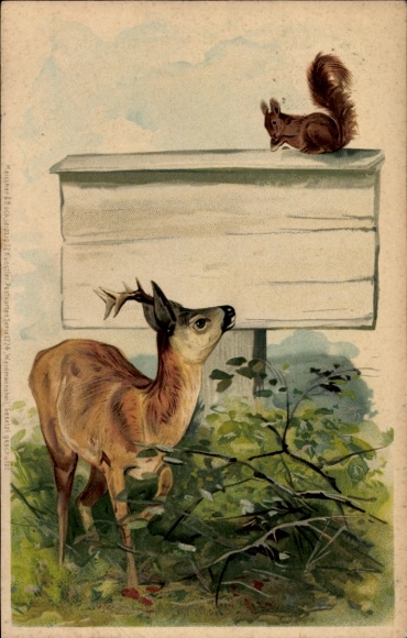 Chromo-Litho Young Deer and Squirrel