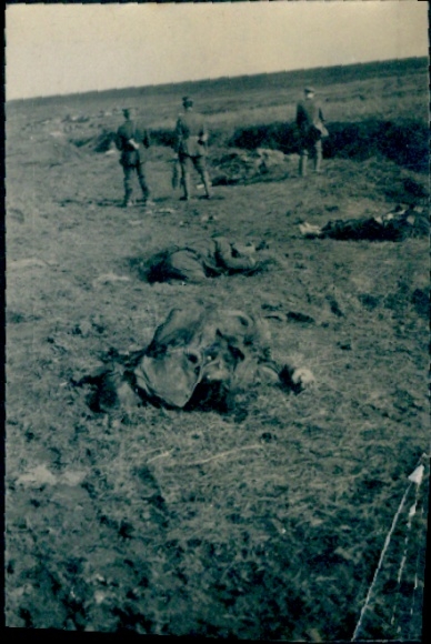 Photo of fallen Englishmen after offensive, theater of war WWI, March 1918
