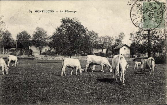 Ak Montluçon Allier, Au Paturage
