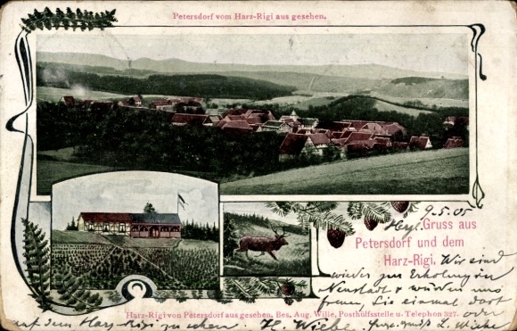 Ak Petersdorf Nordhausen am Harz, Petersdorf vom Harz-Rigi, Landschaft, Gruss aus Petersdorf