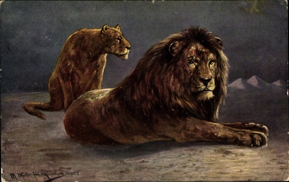 Artist PC Müller, M. jun., lioness and lion