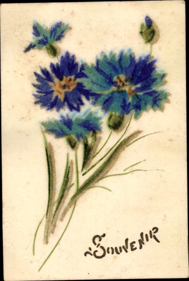 Postcard souvenir, cornflowers
