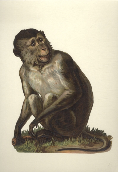 Wafer sitting monkey, size approx. 21.5 x 17.5 cm