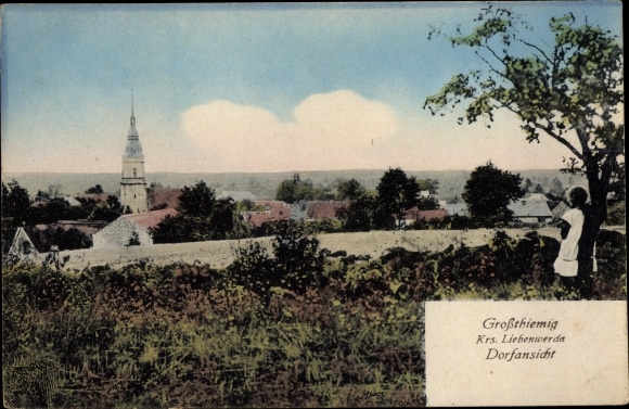 Postcard Großthiemig in Brandenburg, view of the village