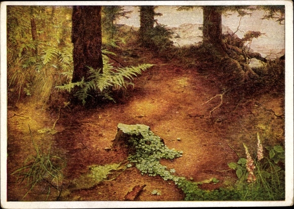 Artist PC Kriegel, Willy, evening sun in the forest, HDK 262