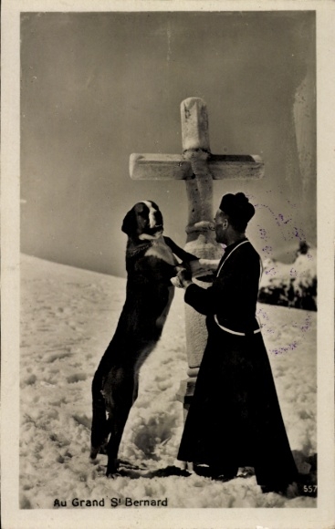 Postcard St Bernard Sankt Bernhard Canton Valais, Grand St Bernard, monk with St. Bernard