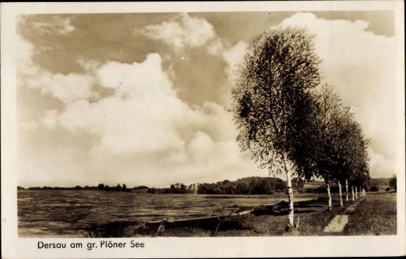Ak Dersau im Plöner Land, Großer Plöner See
