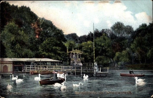Postcard Zwickau in Saxony, gondola station at the Swan Pond, rowing boats