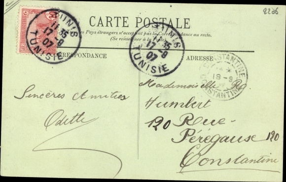 Postcard Arab with falcon, Arabian costume, Maghreb