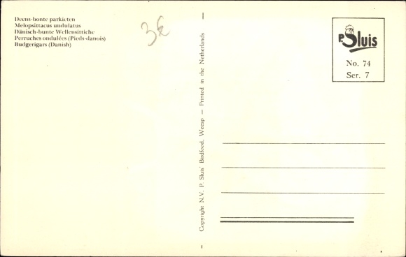 Postcard Danish Variegated Budgerigars, Perruches ondulees