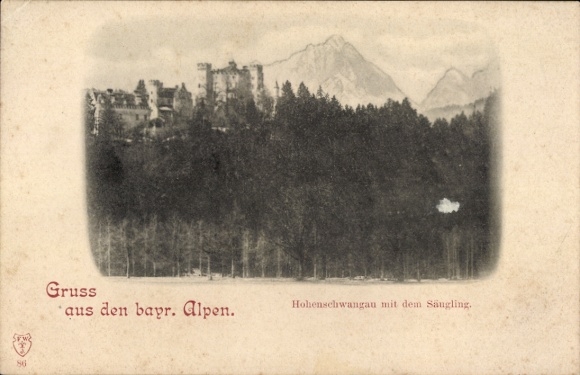 Ak Hohenschwangau Schwangau im Ostallgäu, Berglandschaft,  bayrische Alpen, Säugling
