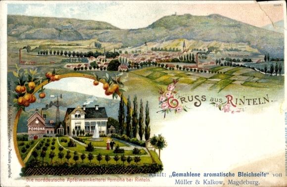 Postcard Rinteln on the Weser, front view of fruit plantations, house with garden, mountains