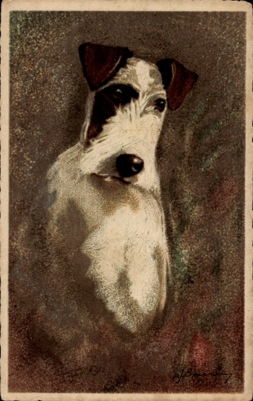 Artist Postcard Fox Terrier, Dog Portrait, Dog Snout