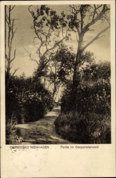 Postcard Ostseebad Nienhagen in Mecklenburg, ghost forest