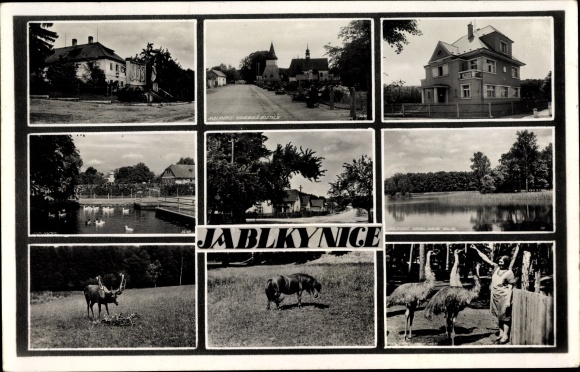 Postcard Jablkynice Region Central Bohemia, deer, horse, ostrich