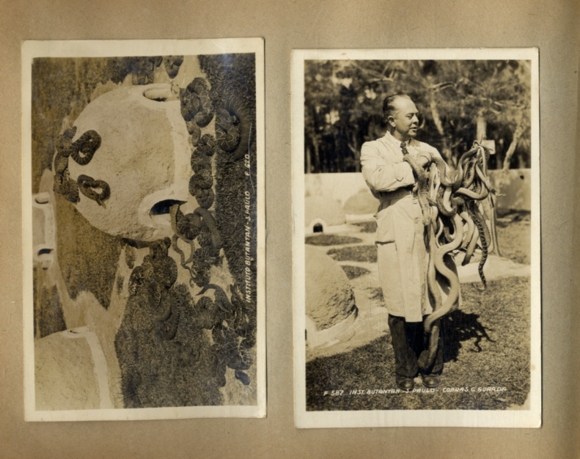 Photo album Brazil Rio Sao Paulo Recife, over 70 original photos around 1940