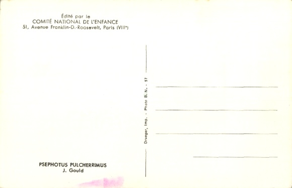 Artist Postcard Gould, J., Psephotus pulcherrimus, Parakeets