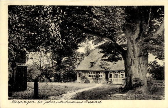 Postcard Bispingen Lüneburg Heath, 500-year-old linden tree with former pastorate