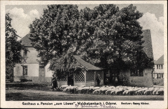 Ak Waldkatzenbach Waldbrunn im Necker Odenwald Kreis, Gasthaus und Pension zum Löwen, Bes. G. Körber