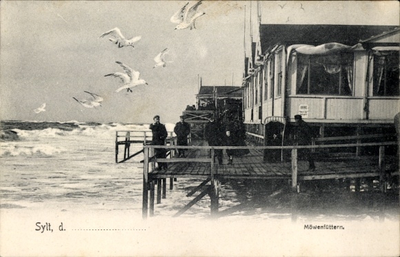 Postcard Westerland Island Sylt, view of the North Sea, seagull feeding